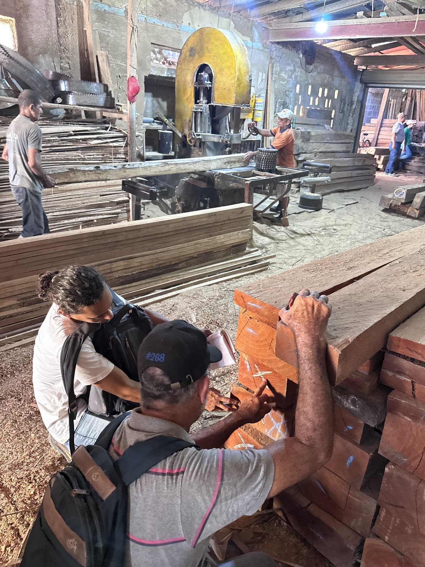 Selecting wood for the doors and windows, Barranquilla