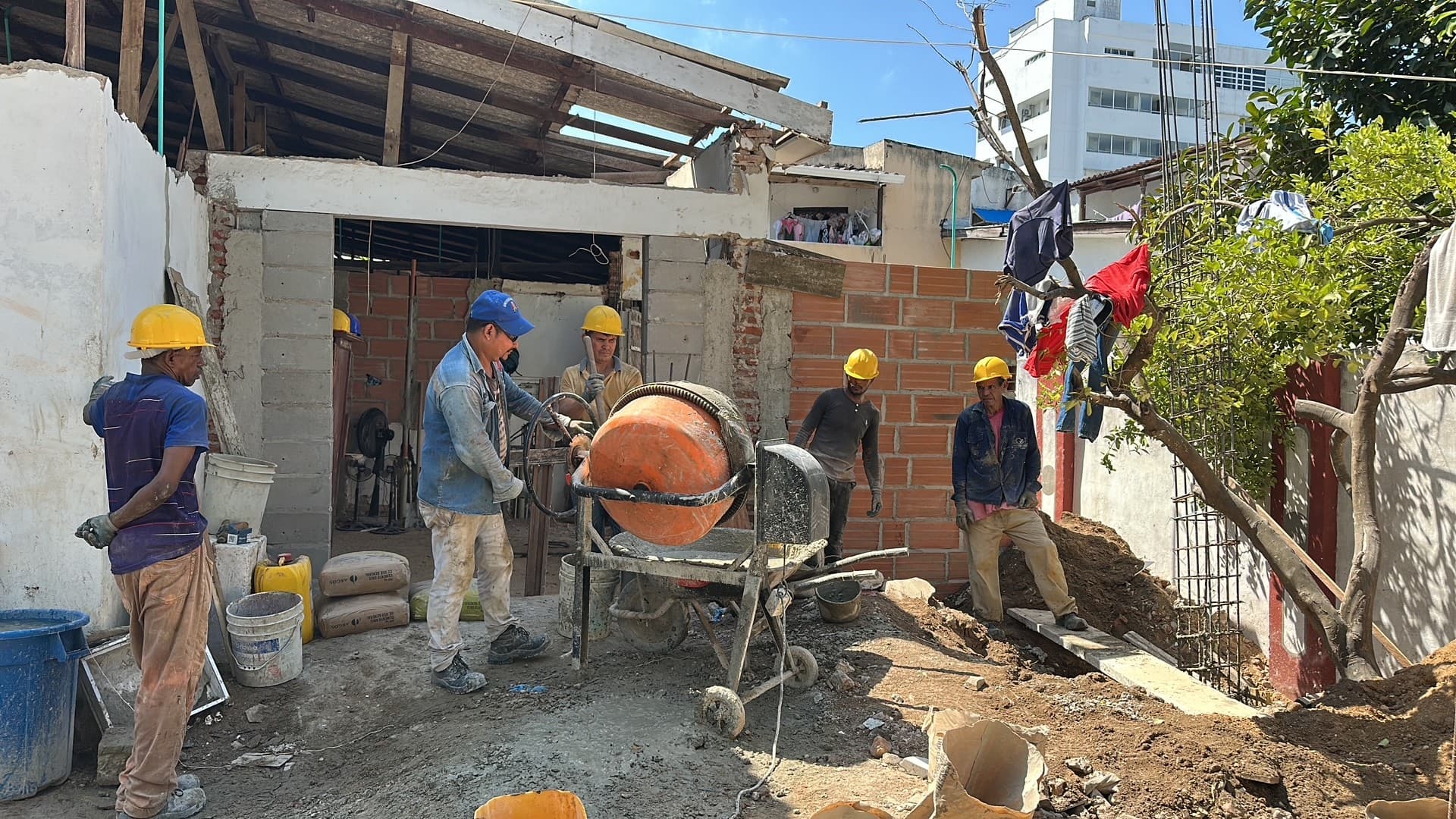 Shaping the backyard
